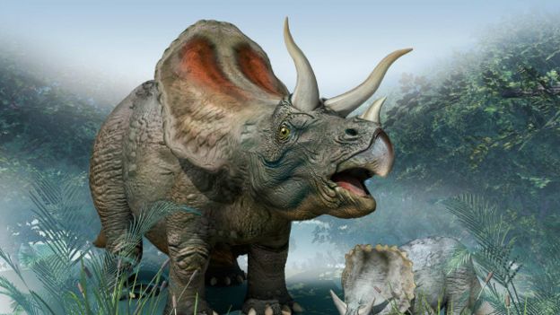 Triceratops