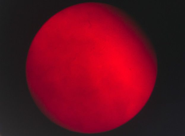 Mercurio atravesando el Sol