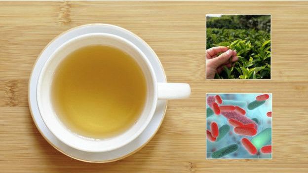 Algunos componentes del té se están utilizando para combatir una bacteria intestinal.