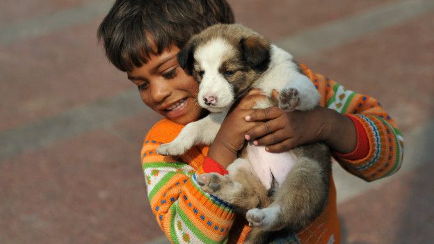 160528143650_kid_dog_624x351_getty_nocredit.jpg