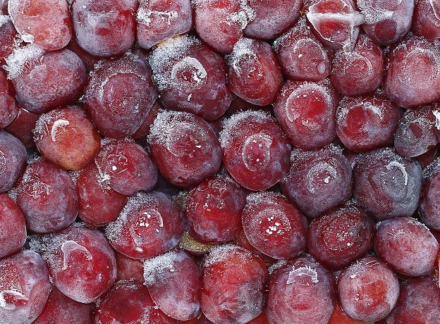 La refrigeración en el transporte de alimentos es uno de los sectores que más consumen energía.