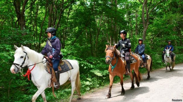 Equipos de rescate a caballo buscan a Yamato Tanooka en el bosque