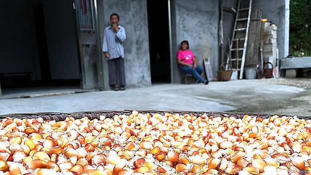 160828143413_chinas_bachelor_village_5_6