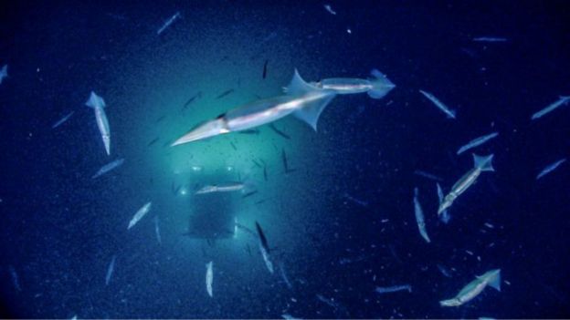 الأخدود العظيم تحت الماء