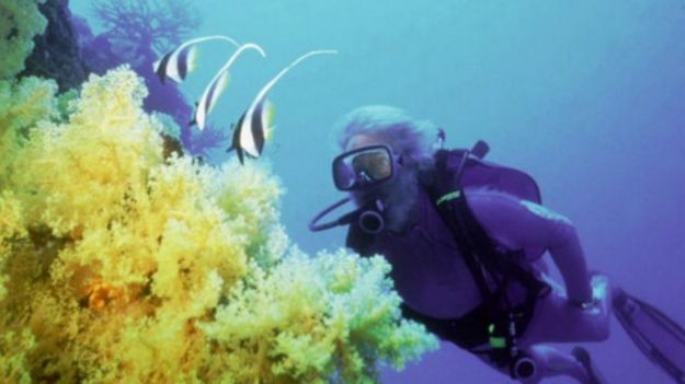 140903154352_diving_512x288_ap_nocredit.