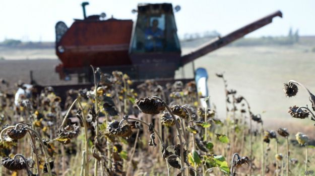 трактор в поле