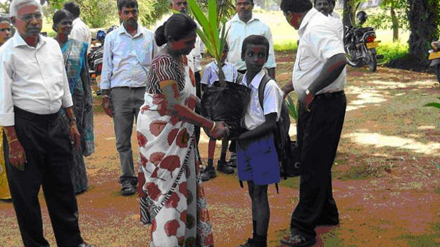 140925162538_srilankacoconut__640x360_bb