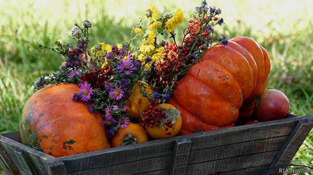 Сельхозпродукция