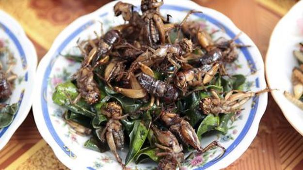 Resultado de imagem para pratos a base de insetos