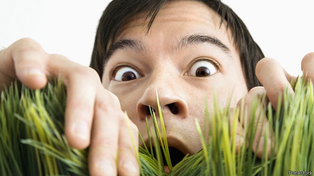 Человек удивленно выглядывает из травы