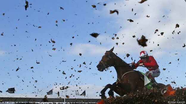 Carrera de Cabalos