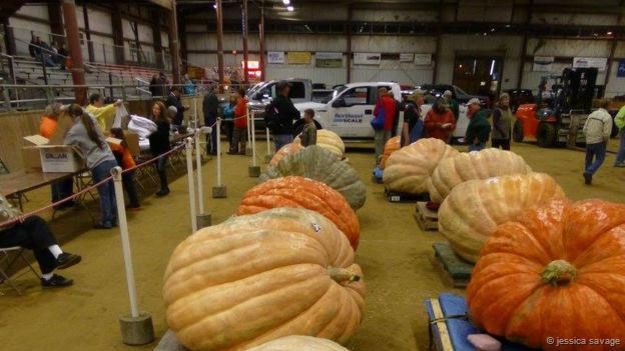 Calabazas