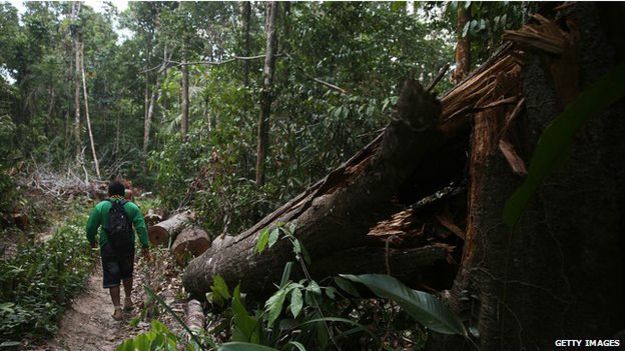 秘鲁和巴西的伐木活动对当地土著文化带来威胁