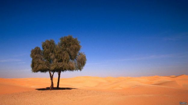 Deserto de Rub' al-Khali