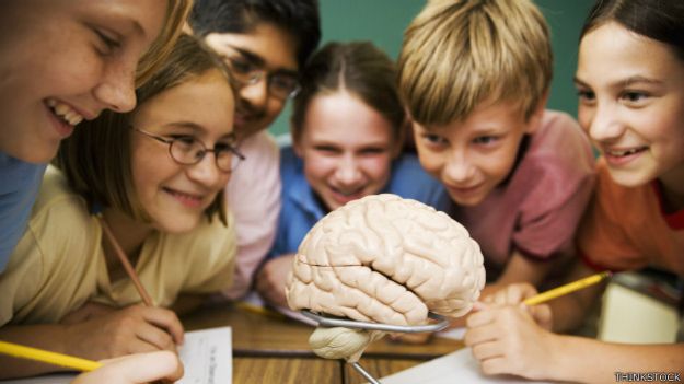 Niños estudiando un modelo de cerebro