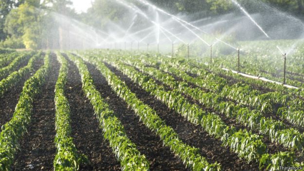 Agricultura de irrigação (Thinkstock)