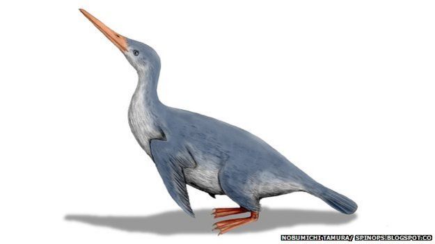 Pingüinos