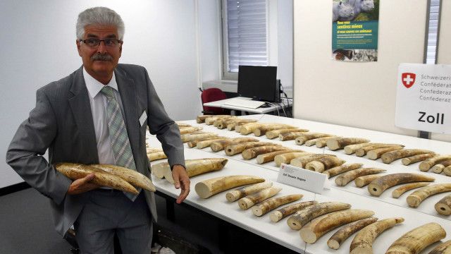 150804101224_zurich_ivory_640x360_reuters_nocredit.jpg