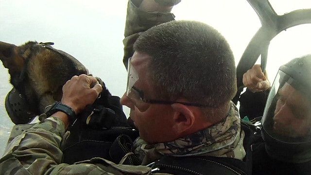 كلاب مكافحة الصيد غير المشروع في أفريقيا "تهبط من السماء"
