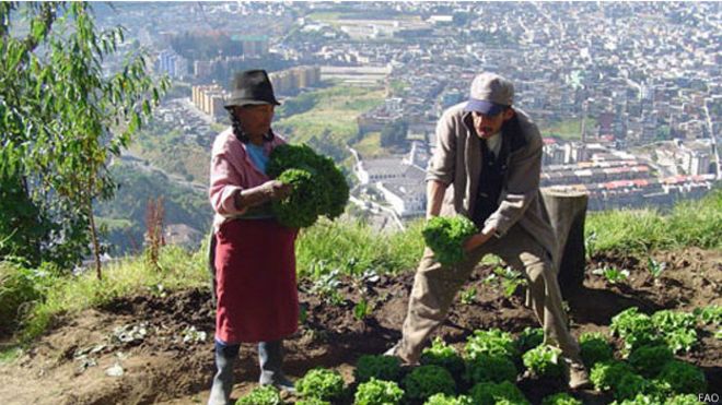 Quito