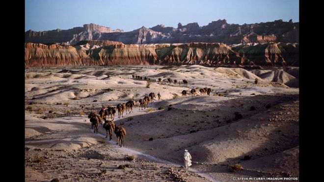 Caravana de camellos, 1980. Steve McCurry/Magnum Photos