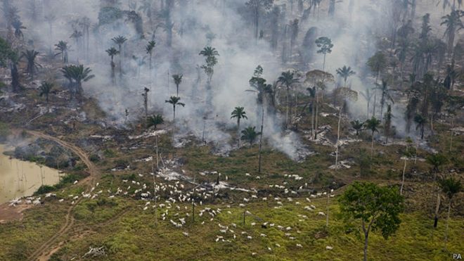 Deforestación en Brasil