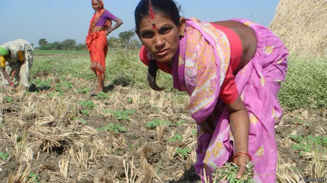 ग्रामीण महिलाएं, किसान, दक्षिण भारत