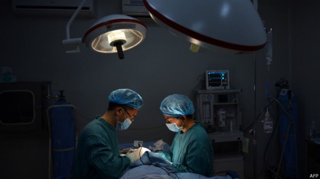 operation, transplant