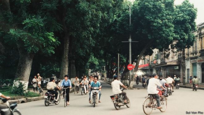 Thủ đô Hà Nội có nhiều hàng cây xanh từ bao đời (Ảnh: Bùi Văn Phú)