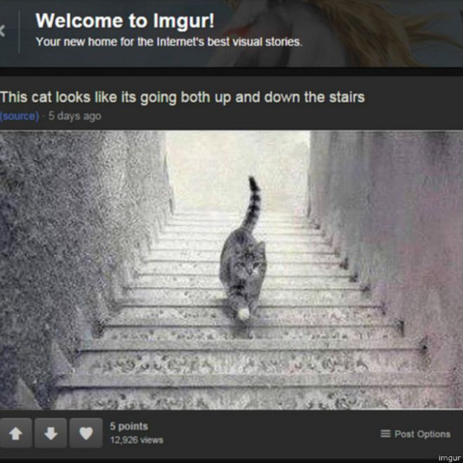 Foto de gato em escadaria no Ingur