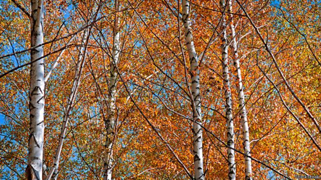 Otoño