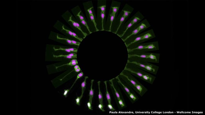 160304093402_wellcome-5.jpg