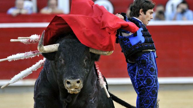 الآلاف يتظاهرون في مدريد مطالبين بمنع رياضة مصارعة الثيران