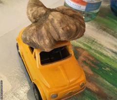 Maya Yoshida Twitter