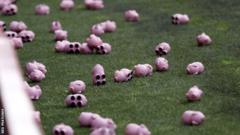 Pigs thrown on to pitch at the Valley