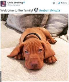 Chris Smalling's new dog, Ruben