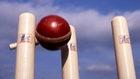 Cricket stumps
