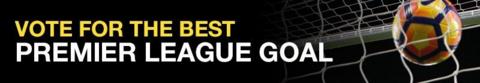 Vote for your favourite Premier League goal