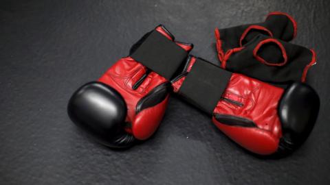 Mixed Martial Arts gloves