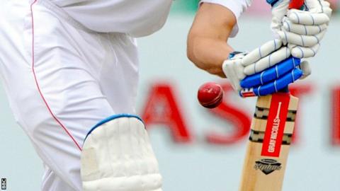 Cricket