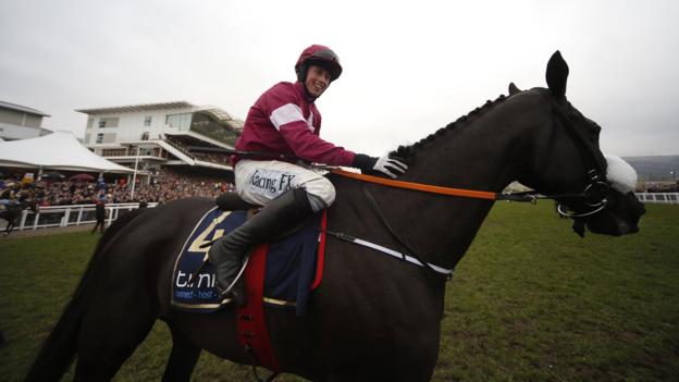 Don Cossack: Cheltenham Gold Cup champion retired with leg injury