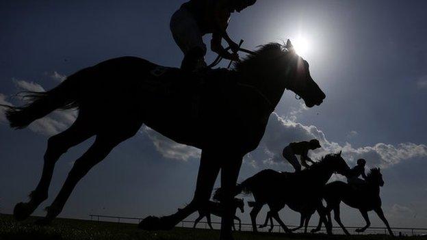 Herpes virus closes National Stud
