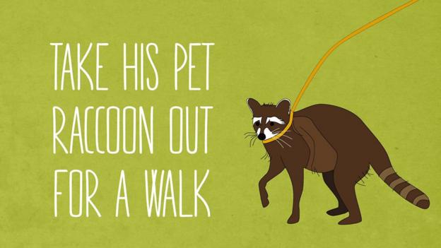 Pint-sized TMS: England v Pakistan - Raccoon-walking & Misbah push-ups