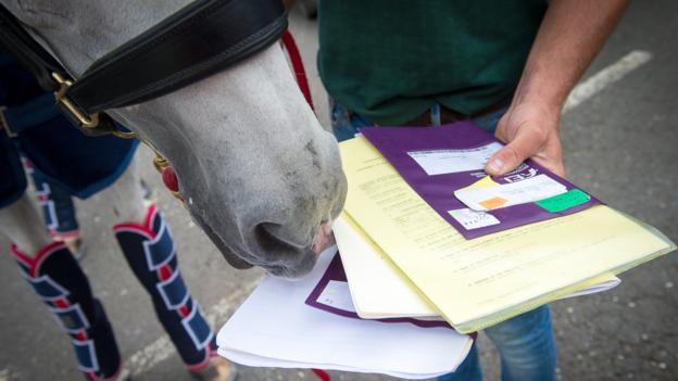 Rio Olympics 2016: How Team GB's horses deal with jet lag, leg room & passports - BBC News