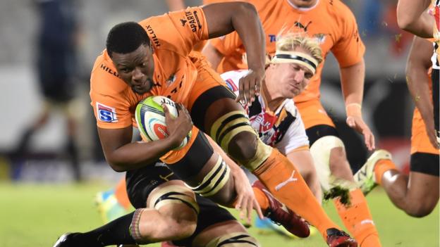 Kings and Cheetahs set for Pro12 after leaving Super Rugby