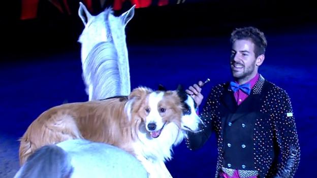Olympia Horse Show 2016: Santi Serra's dogs ride a horse at final day of Grand Prix
