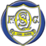 Team badge of Queen of the South