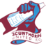 Team badge of Scunthorpe United