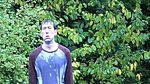 The Trampolinist