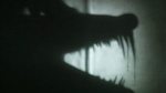Shadowplay